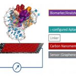 Point-of-Care Electronic Test Kit for Rapid Detection of Pathogens using Graphene-Transistors as Biosensors